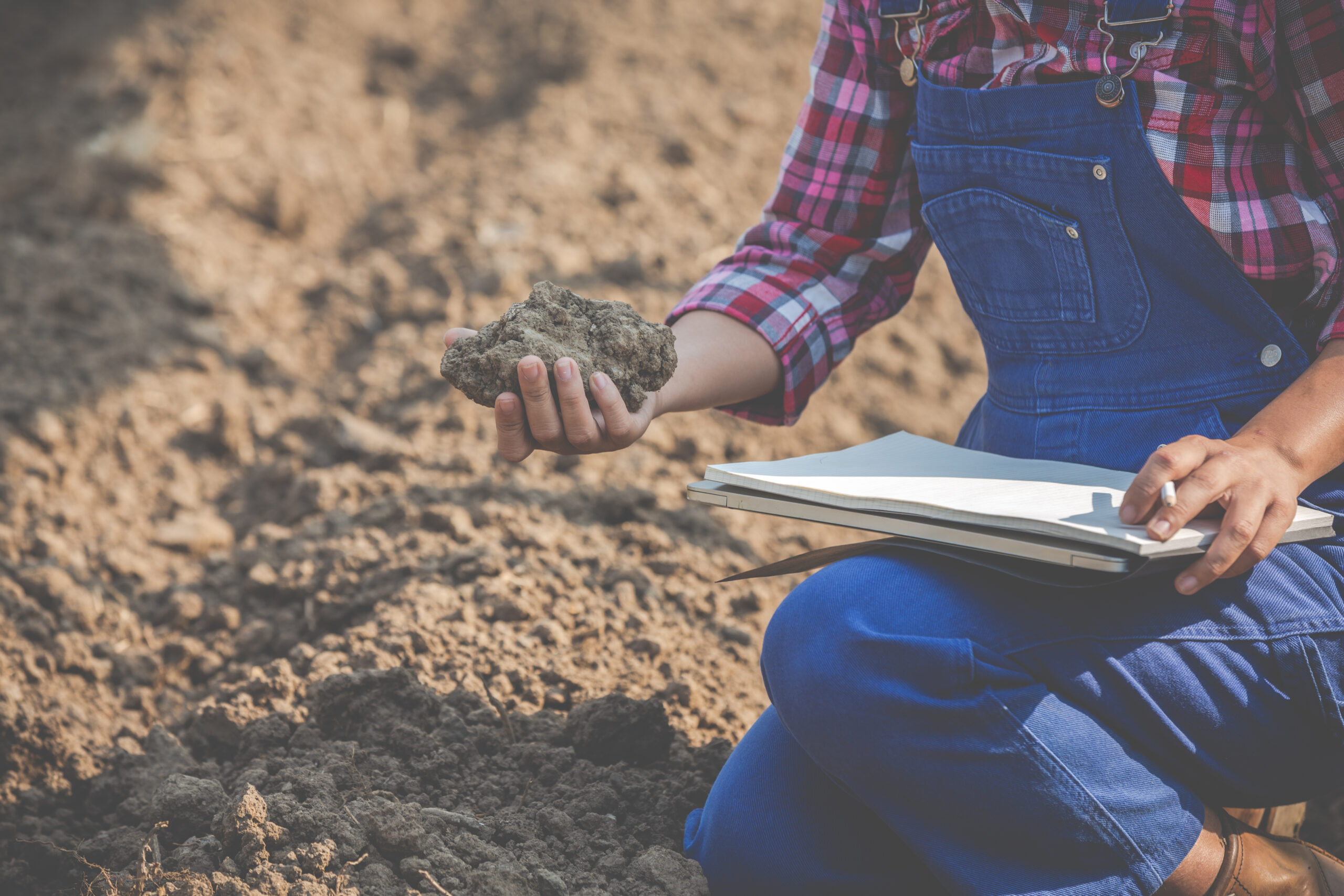 Women farmers are researching the soil.